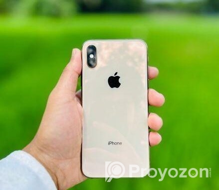 Apple iPhone XS Rose Gold 256GB (Used)