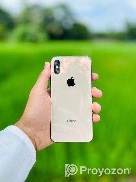 Apple iPhone XS Rose Gold 256GB (Used)