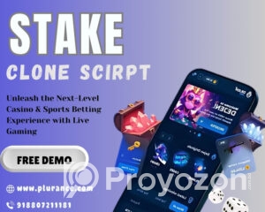 stake-script-1