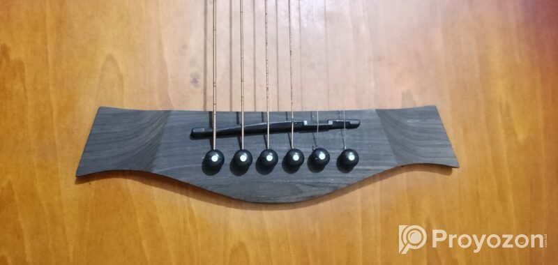 Zuodanny Guitar