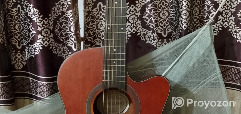 Zuodanny Guitar