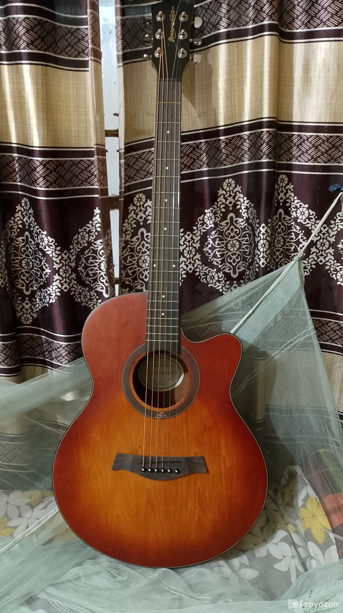 Zuodanny Guitar
