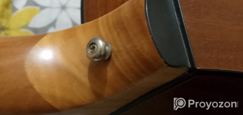 Zuodanny Guitar