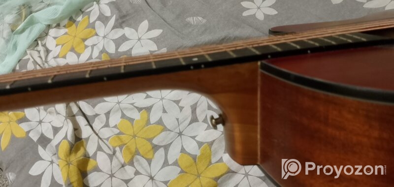 Zuodanny Guitar