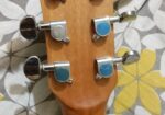 Zuodanny Guitar