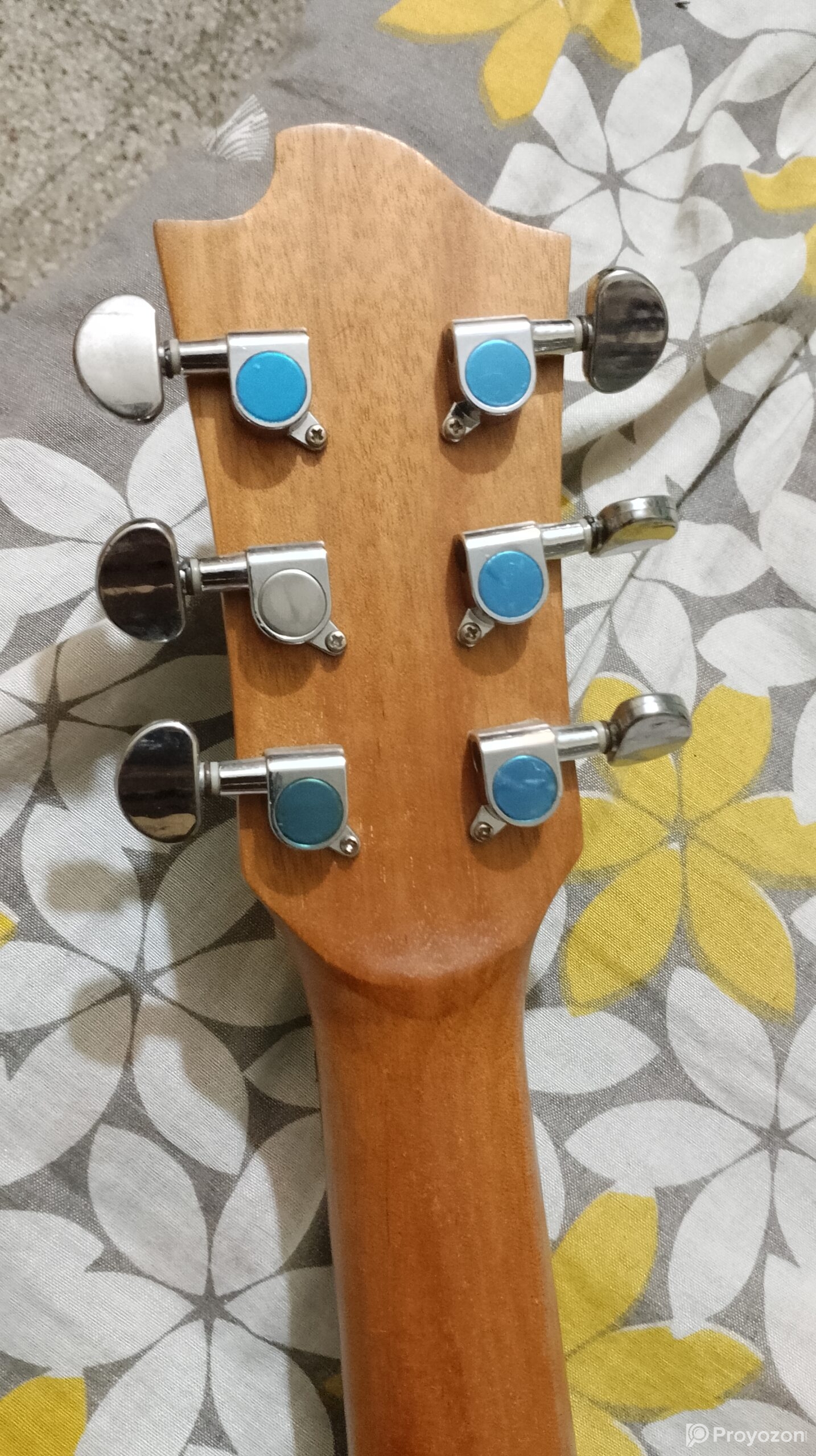 Zuodanny Guitar