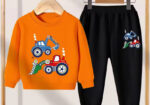 Kids Sweatshirt and Trouser Set