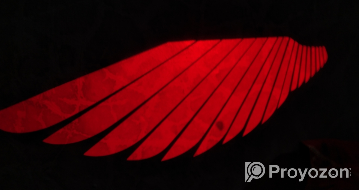 Wings Projector