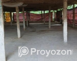 fitted-100_2025-10-28_11-02-47