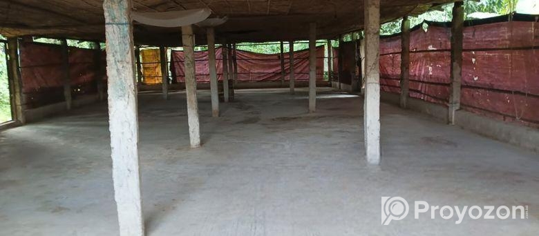 মুরগির ফার্ম