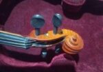 Violin