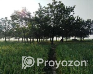 fitted-10_2025-10-29_16-52-42