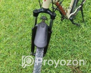 fitted-10_2025-10-29_22-30-41