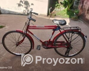 fitted-10_2025-10-30_09-39-45