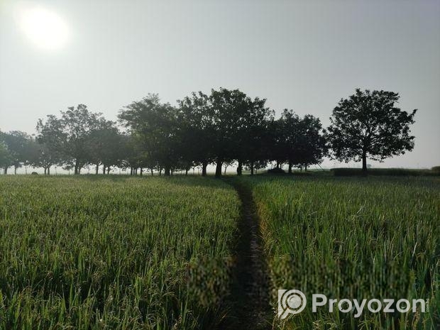 ১৮ কাঠা জমি বিক্রয় করা হইবে
