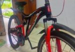 Bicycle for sale