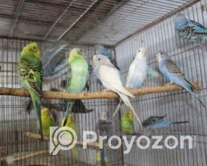 fitted-12_2025-10-28_21-59-53