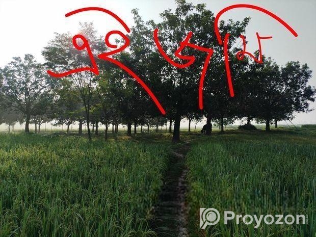 ১৮ কাঠা জমি বিক্রয় করা হইবে