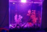 AQURIUM SELL