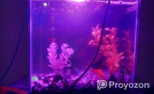AQURIUM SELL