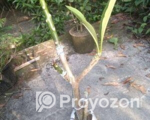 fitted-13_2025-10-28_19-13-44