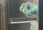 Walton Fridge