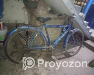 fitted-14_2025-10-29_22-41-26