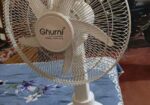 Stand Fan