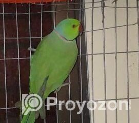 fitted-15_2025-10-30_10-28-30