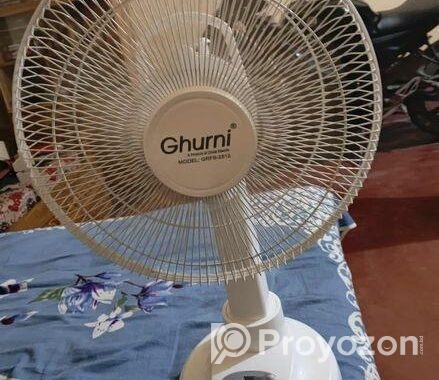 Stand Fan