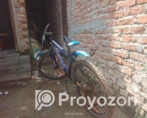 fitted-16_2025-10-11_12-42-32