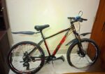Phoenix haricane bicycle