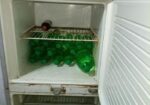 Singer fridge
