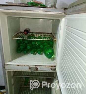 Singer fridge