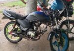 Walton Cruize 100 . 2020