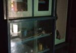 Showcase