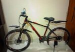Phoenix haricane bicycle