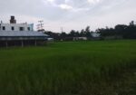 জমি বিক্রয়