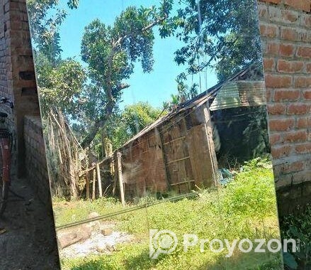 থাই দরজা