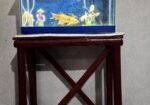 Aquarium Full Setup