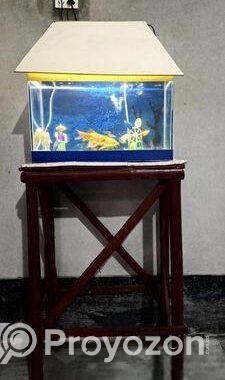 Aquarium Full Setup