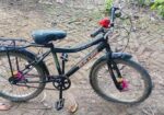 Duranta Size 20″