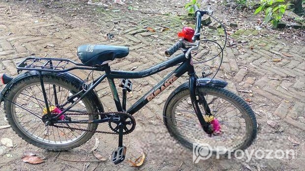 Duranta Size 20″
