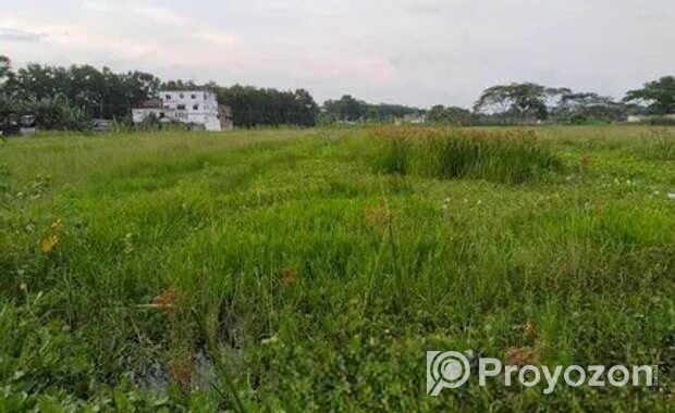 জরুরী ভিত্তিতে জমি বিক্রয় হইবে
