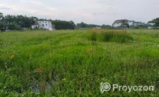 জরুরী ভিত্তিতে জমি বিক্রয় হইবে