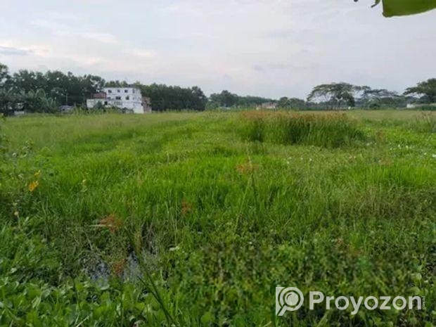 জরুরী ভিত্তিতে জমি বিক্রয় হইবে