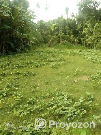 বসত বাড়ি ,খামার করার জন্য উঁচু জমি বিক্রয়