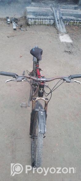 Bicycle For Sale