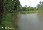 জমি বিক্রয়