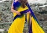 Rongdhonu Georgette sharee